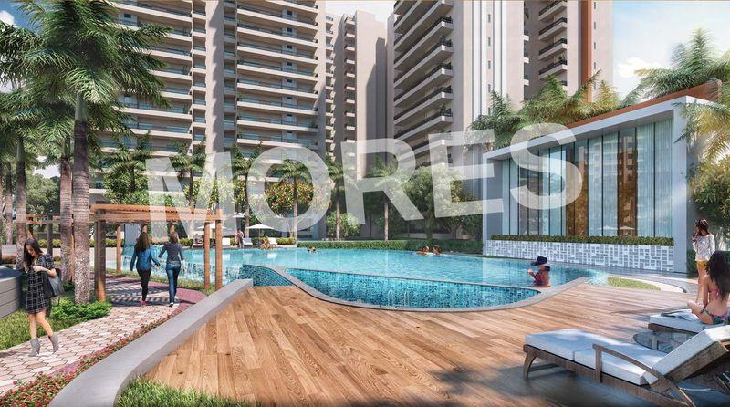 Oasis Grandstand Amenities