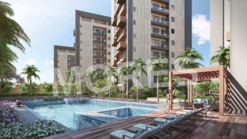THE RESORT Amenities