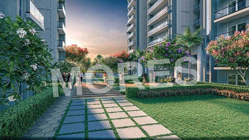ORO Constella Amenities
