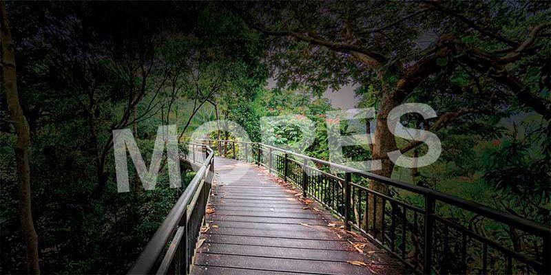 Godrej Forest Estate - Sumthana | Nagpur Amenities