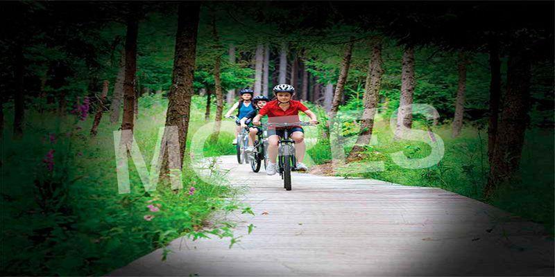 Godrej Forest Estate - Sumthana | Nagpur Amenities