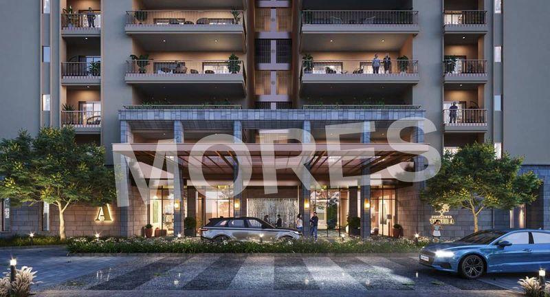 The Sunflower Amenities