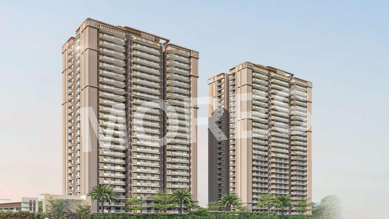 Dynasty By Oro Amenities