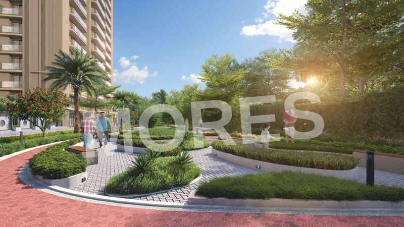 Dynasty By Oro Amenities