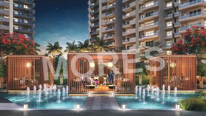 Elite X Amenities