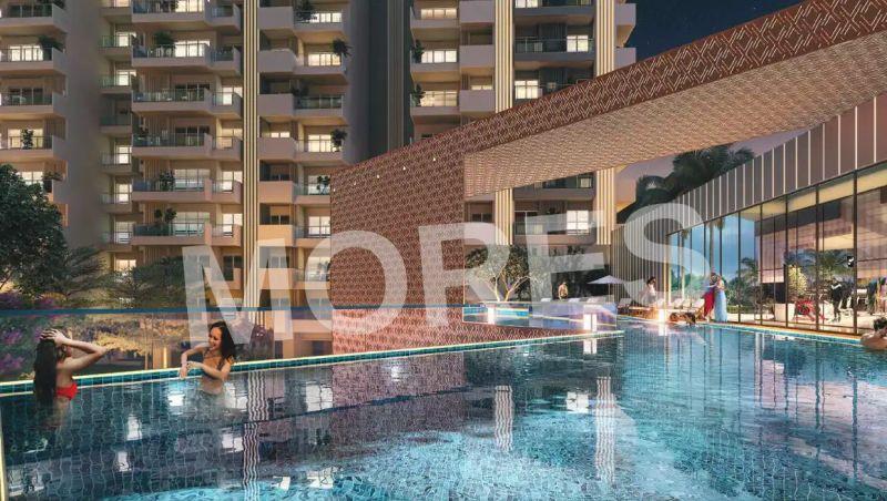 Elite X Amenities