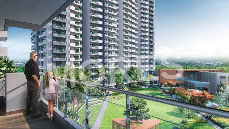 Elite X Amenities