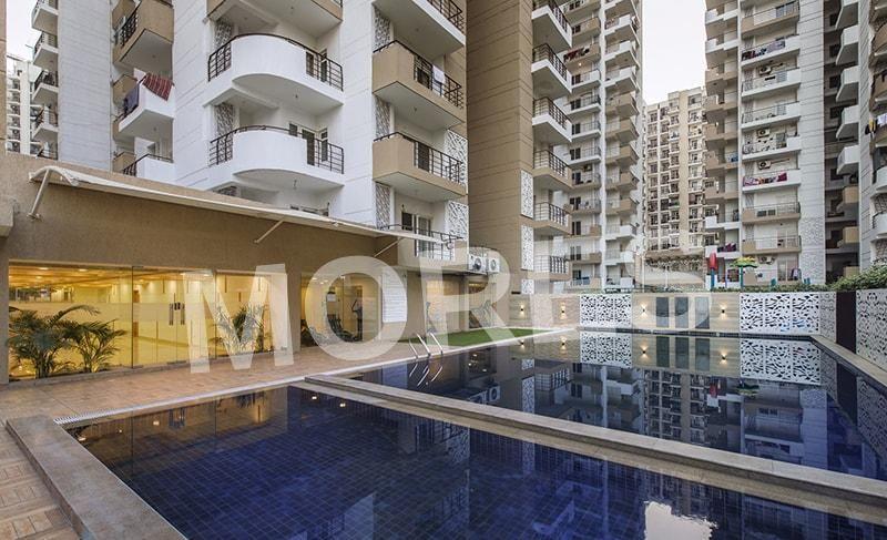 Express Zenith Amenities