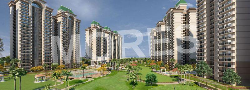 Sethi Venice Noida