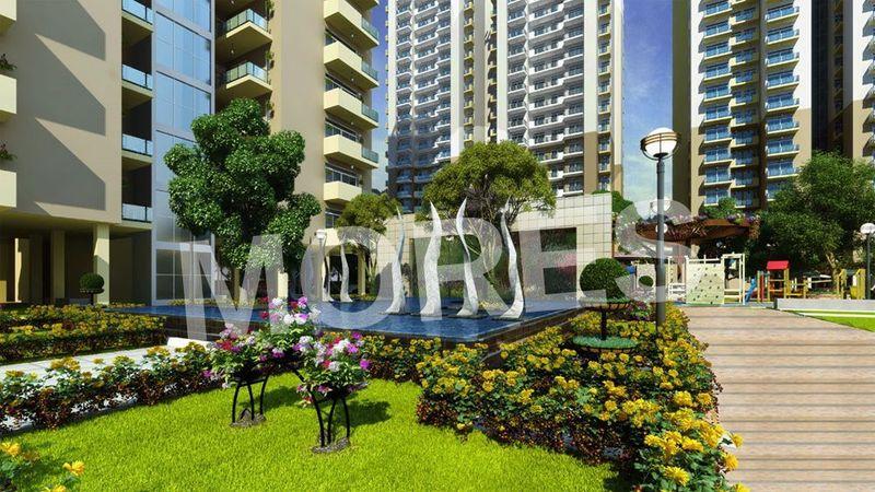 Emenox La solara Amenities