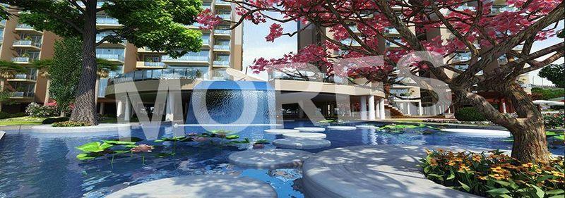 Emenox La solara Amenities