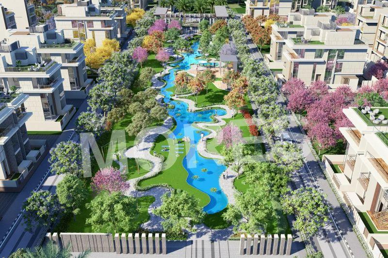ACE Estate Amenities