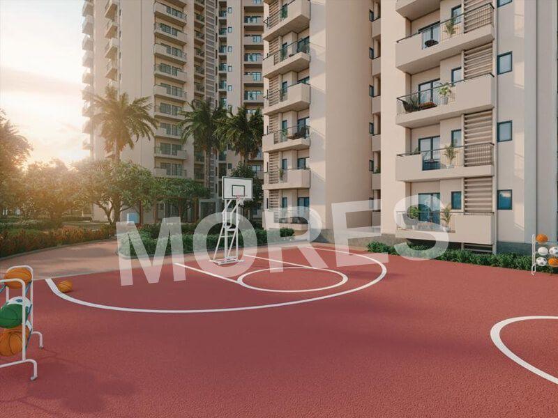 APEX ALPHABET Amenities
