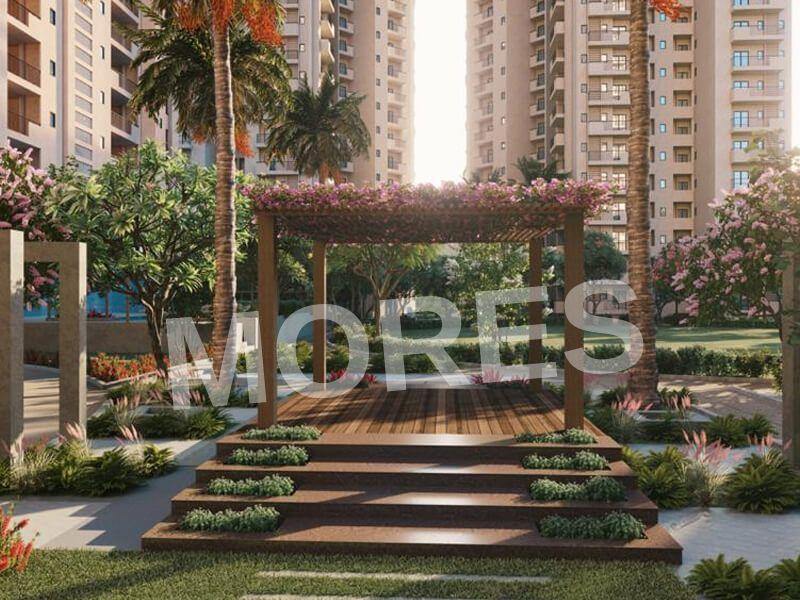 APEX ALPHABET Amenities