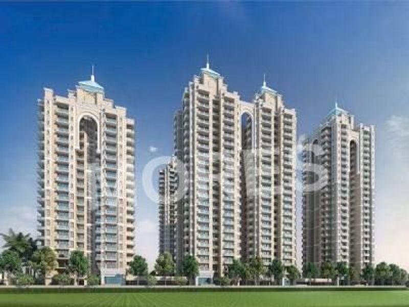Spring Elmas Amenities