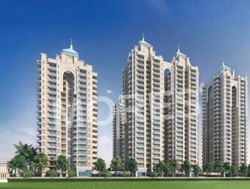 Spring Elmas Amenities