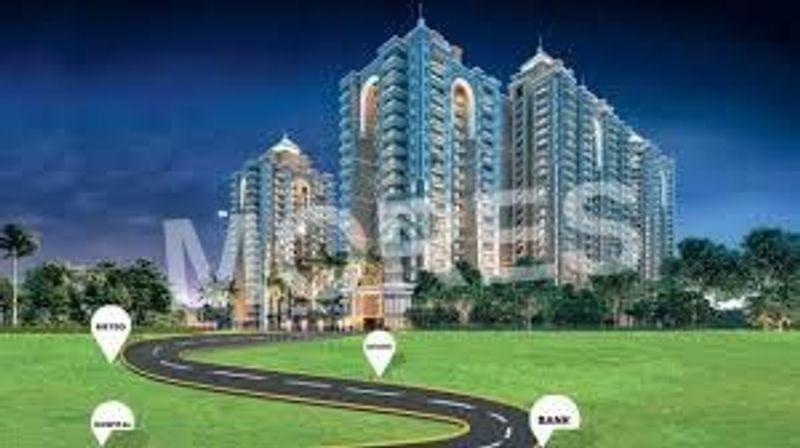 Spring Elmas Amenities