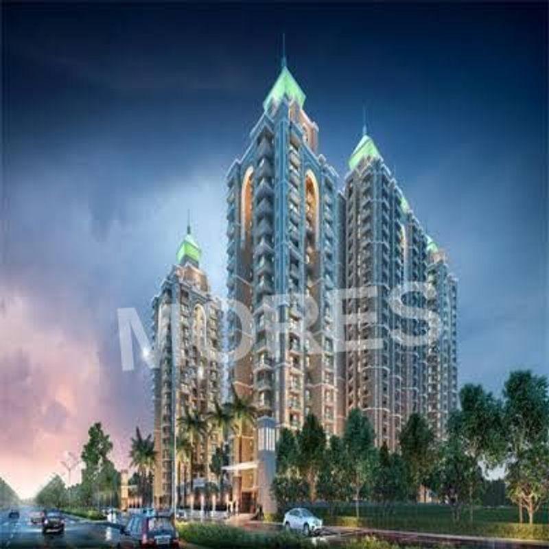 Spring Elmas Amenities