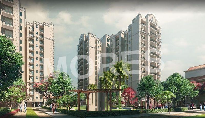 Oro Elements Amenities