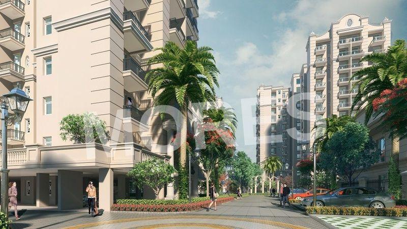 Oro Elements Amenities