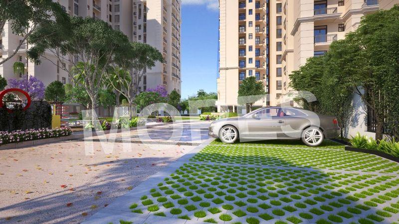 Oro Elements Amenities
