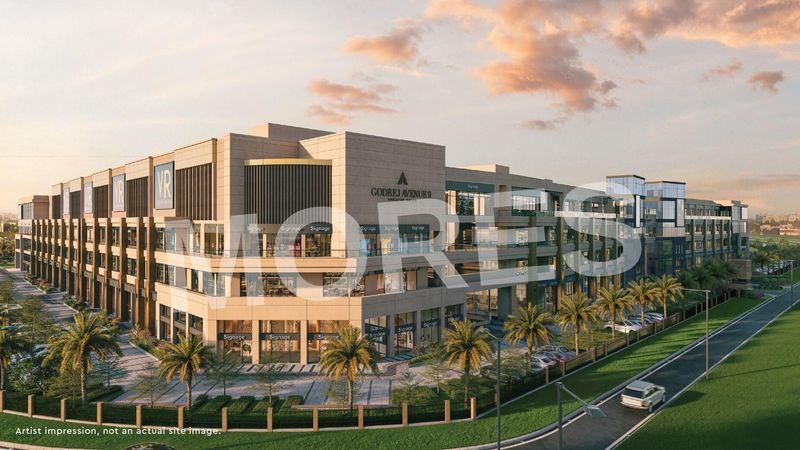 Godrej Avenue 9 Amenities