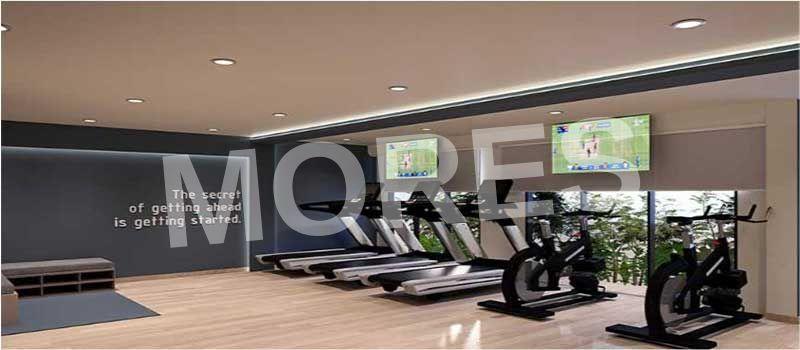 Sayba Noor Amenities