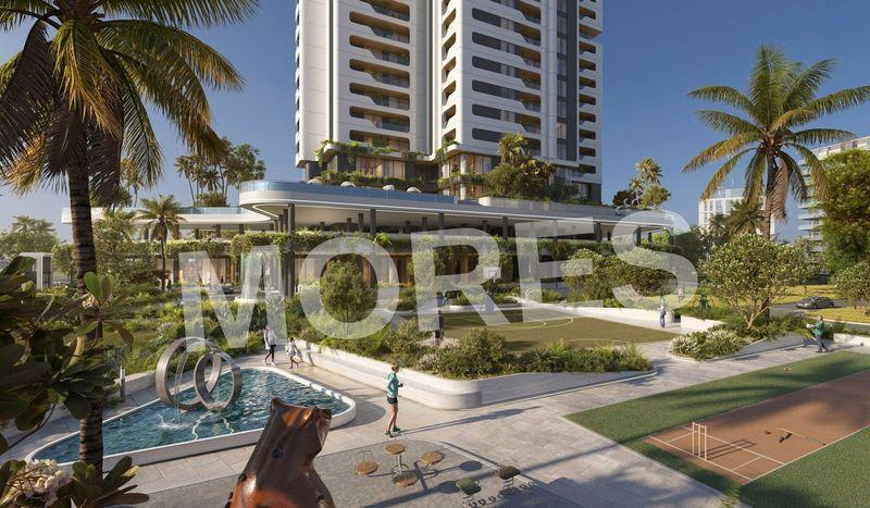 Dalcore the Falcon Amenities