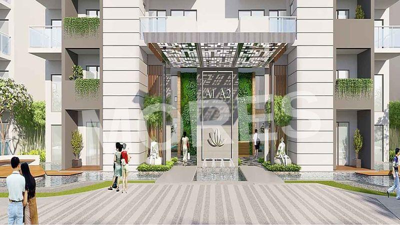 Tulip Yellow Amenities