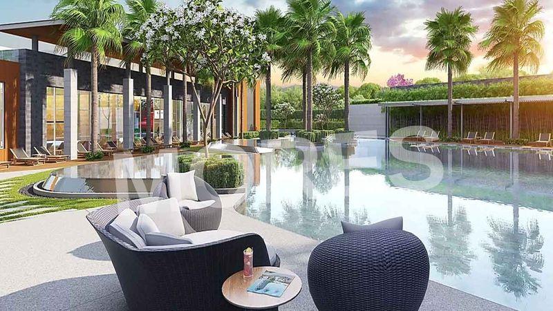 Tulip Yellow Amenities