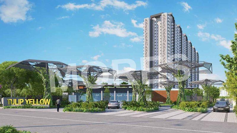 Tulip Yellow Amenities