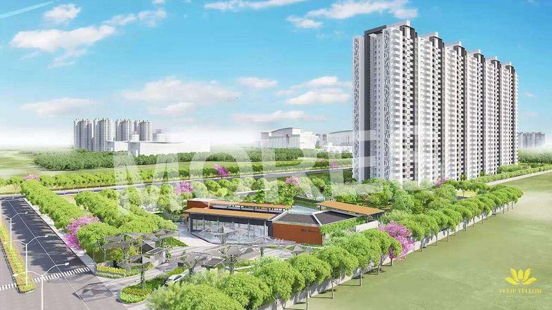 Tulip Yellow Amenities
