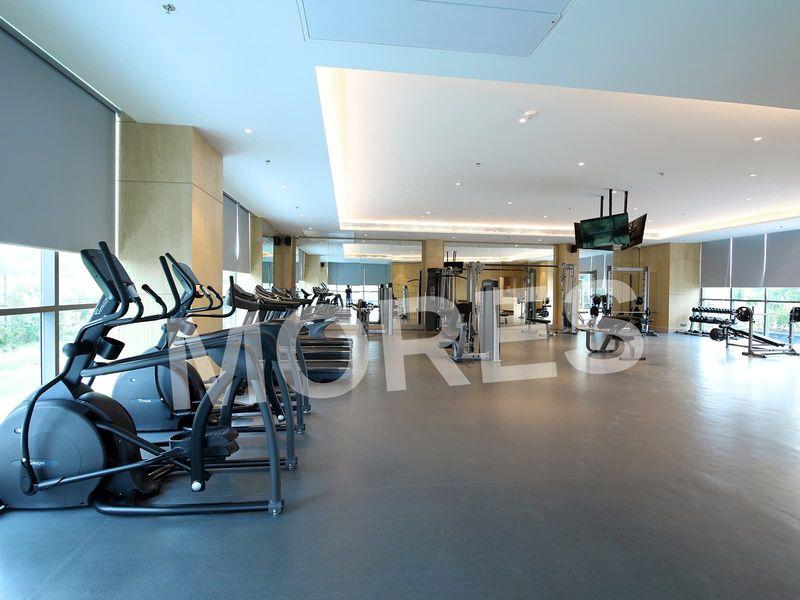 Paras Dews Amenities