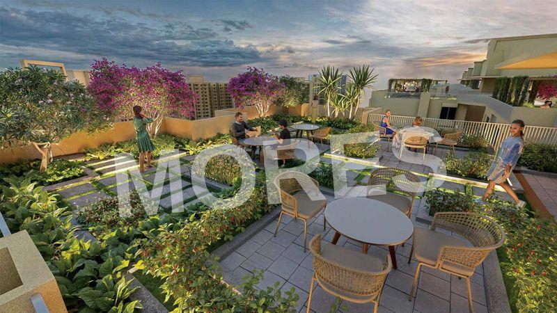 Altura at DXP 92 Amenities