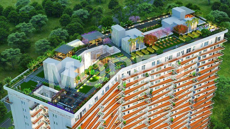 Altura at DXP 92 Amenities
