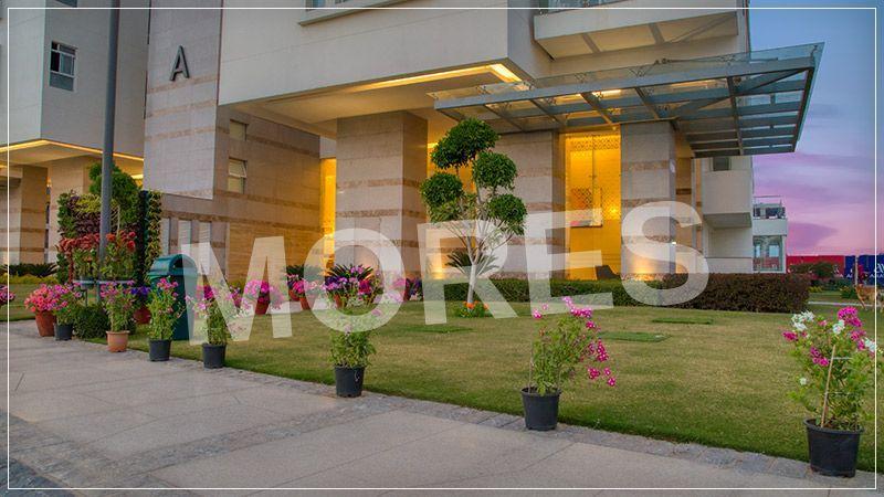 Pioneer Araya Amenities