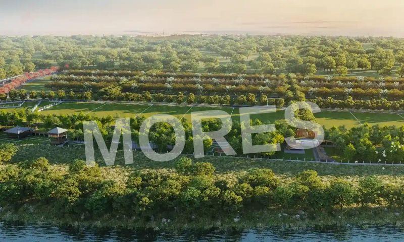 Shapoorji Pallonji Treetopia