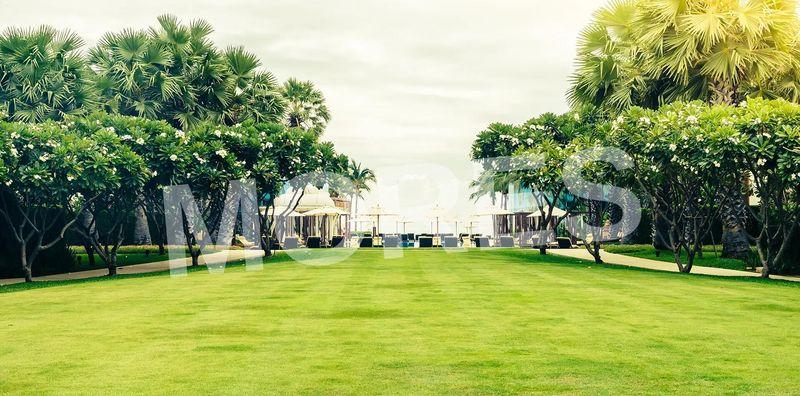 Gami Telon Amenities