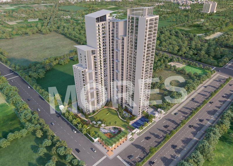 The Blue Amenities