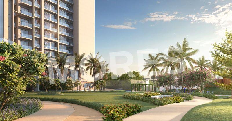 The Blue Amenities