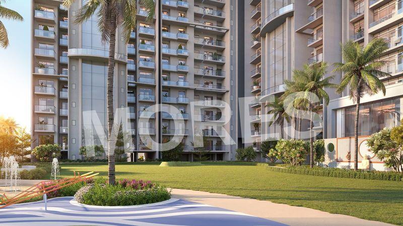 The Blue Amenities