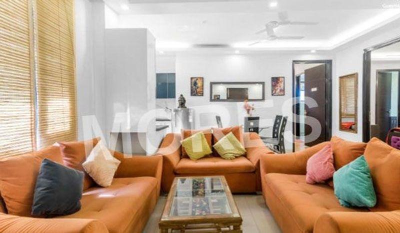 Max Estate 105 Amenities