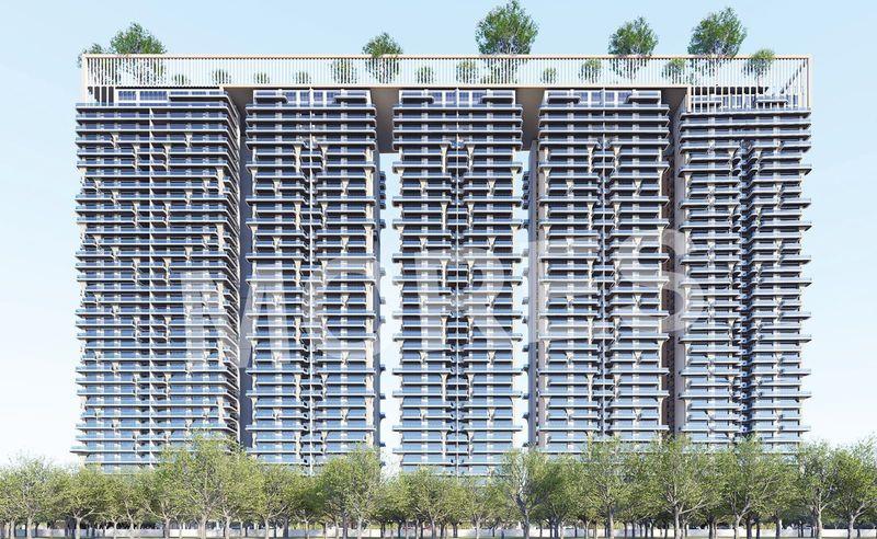 The Pinnacle Amenities