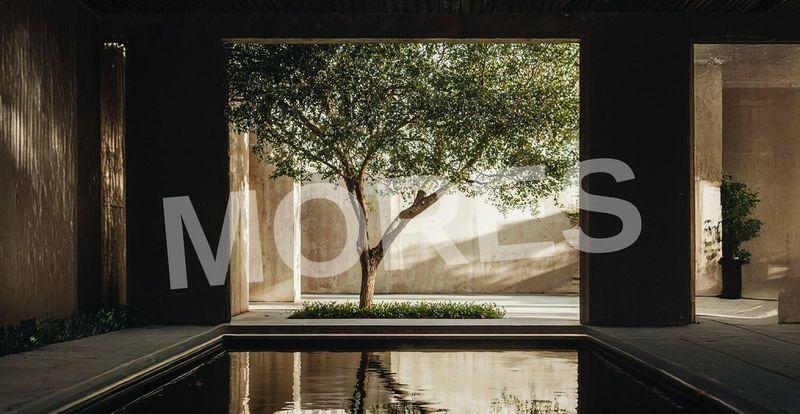 SILVER SERENITY Amenities
