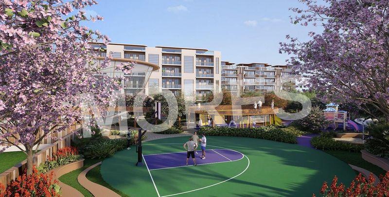 MRG Crown Amenities