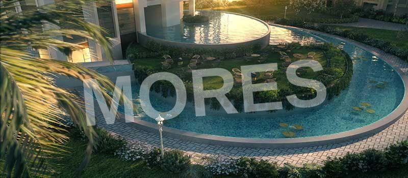 T&T Eutopia Amenities