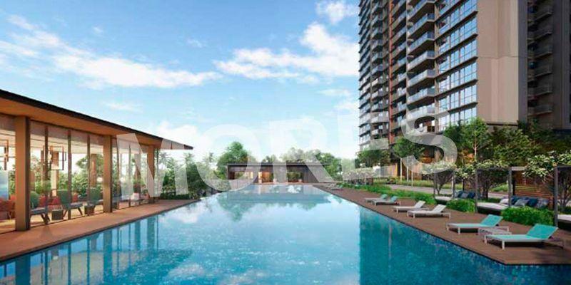 The Elysiun Amenities