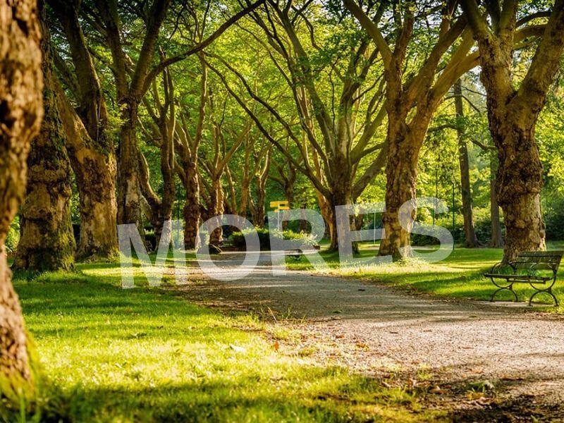 Spring Homes Amenities