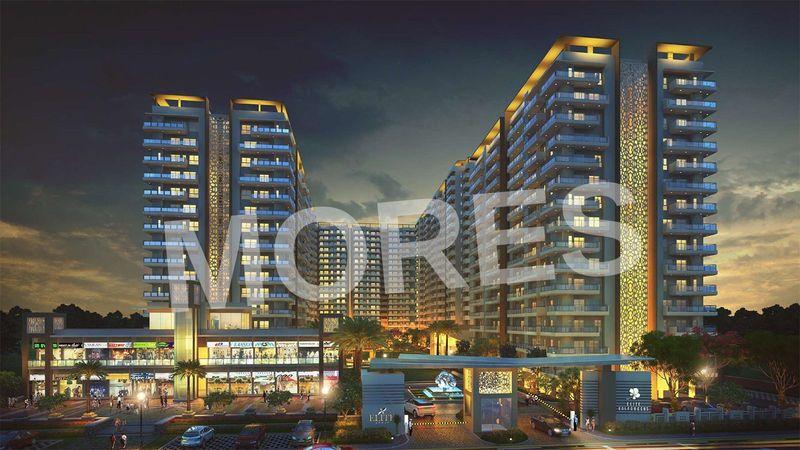 Elite X Amenities