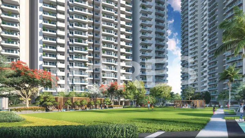 Elite X Amenities